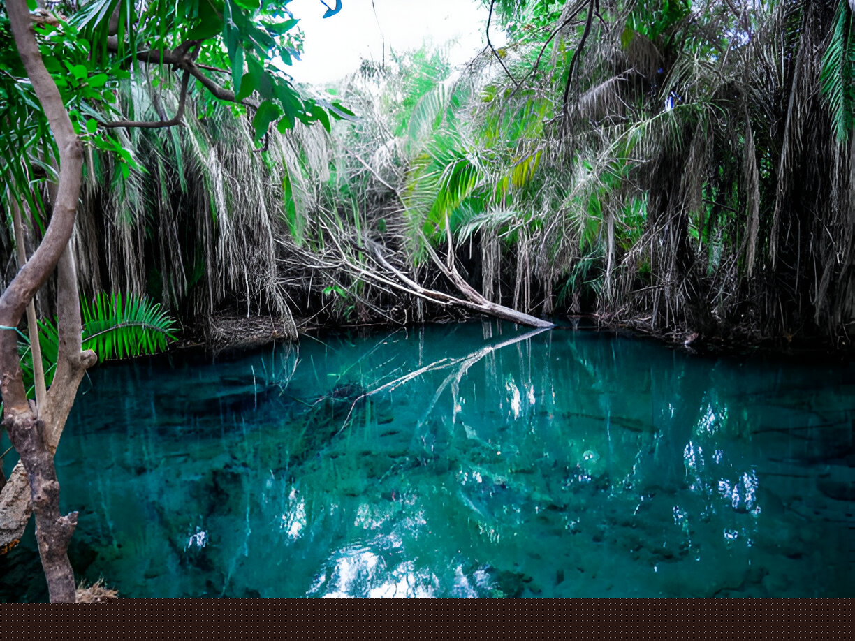 1 Day Trip - Chemka Hot Springs